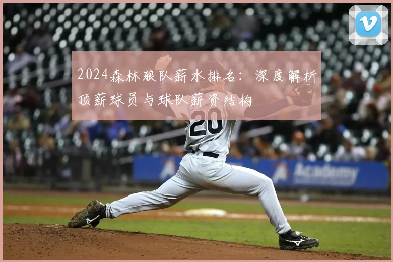 2024森林狼队薪水排名:深度解析顶薪球员与球队薪资结构