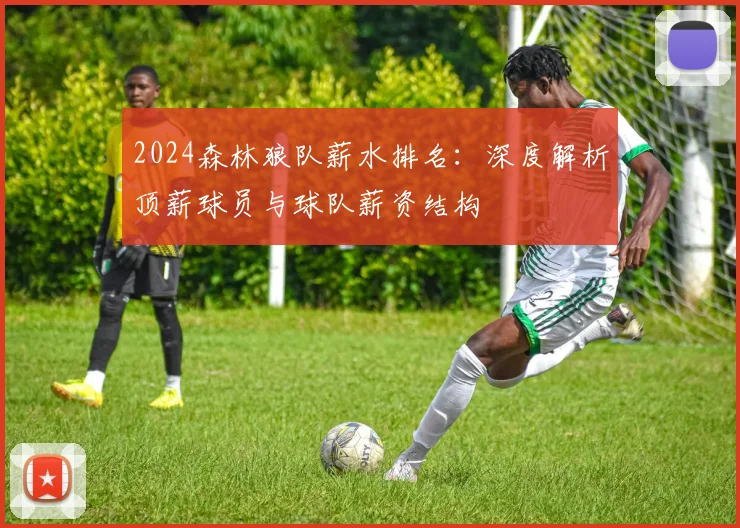 2024森林狼队薪水排名：深度解析顶薪球员与球队薪资结构