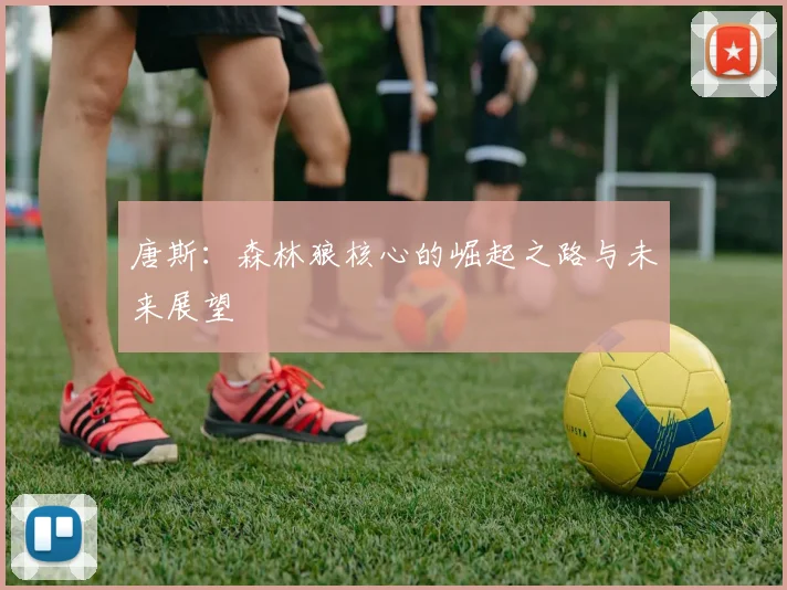 唐斯：森林狼核心的崛起之路与未来展望